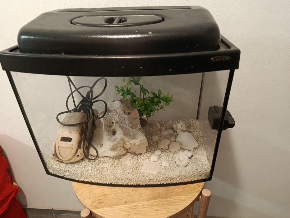 Akwarium na rybki + akcesoria