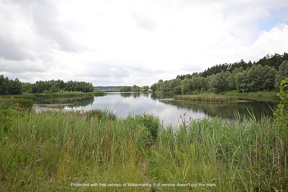 Одеський шлях. В. Салтанівка. Ділянка в сосновому лісі 25 с.