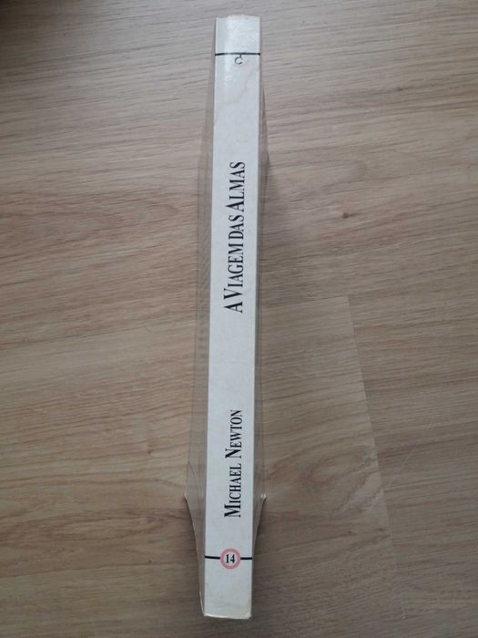A Viagem das almas Michael Newton