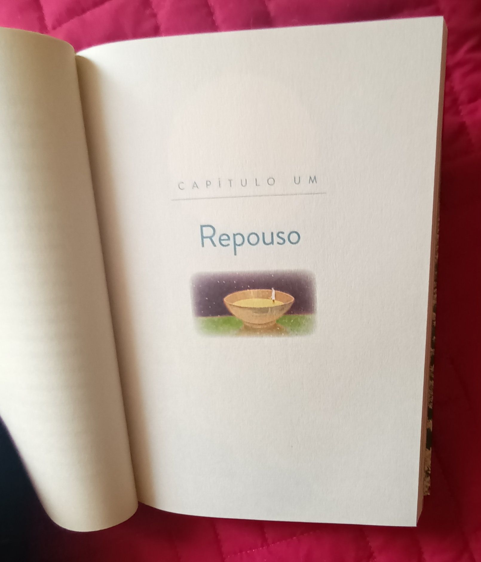 O Que Só Vemos Quando Abrandamos