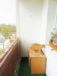Siatka na balkon - montaż siatki dla kota, przeciw ptakom