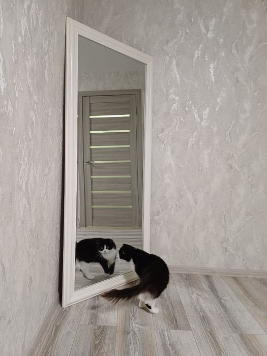 Дзеркало велике, в рамі