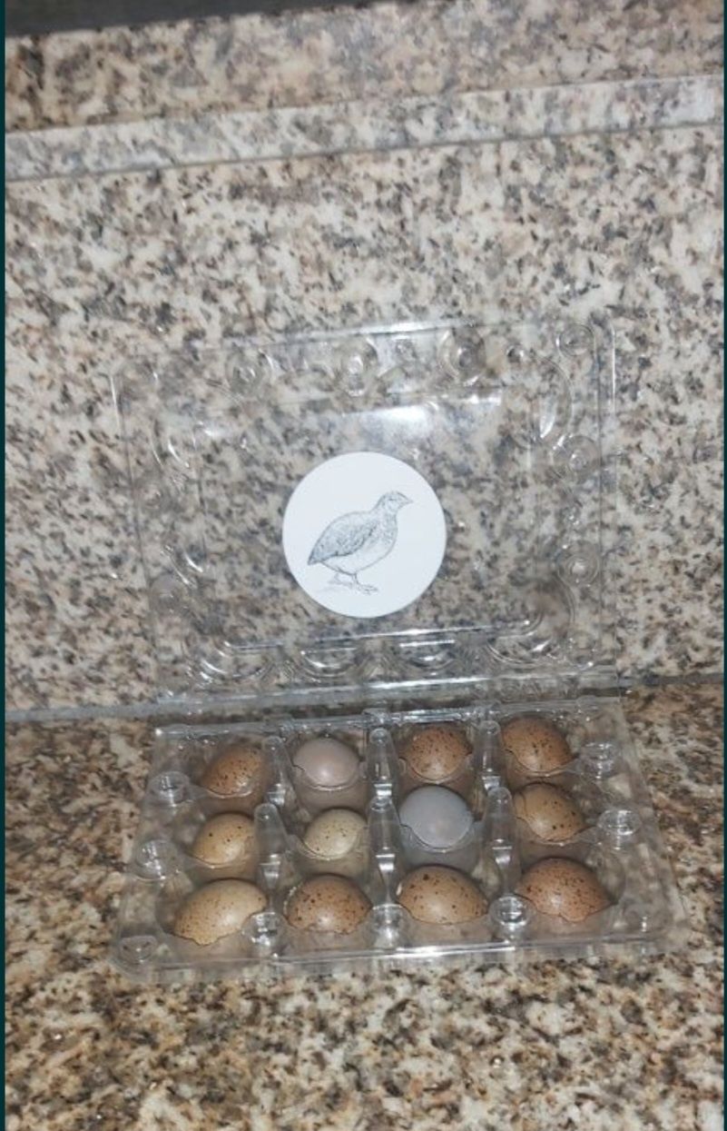 Ovos de codorniz da china [Ler descrição]