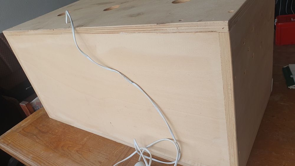 Terrário de madeira