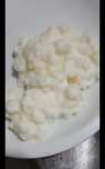 Flor de iogurte kefir probiótico
