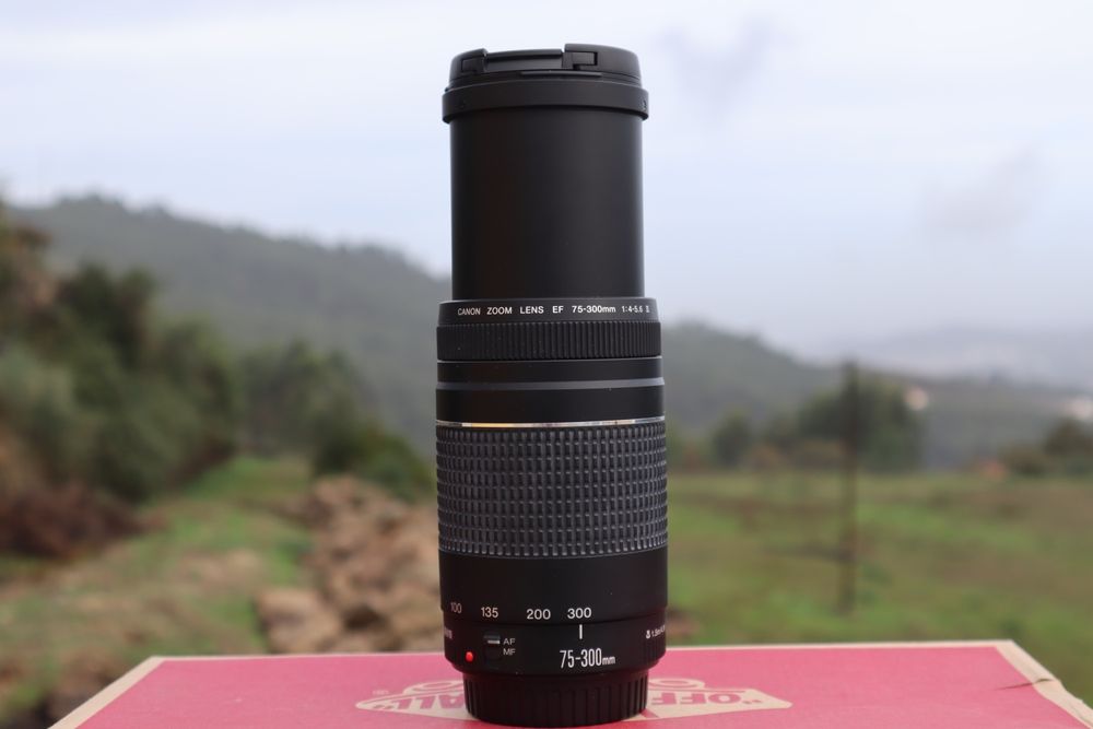 Canon EF 75-300mm F/4-5.6 III