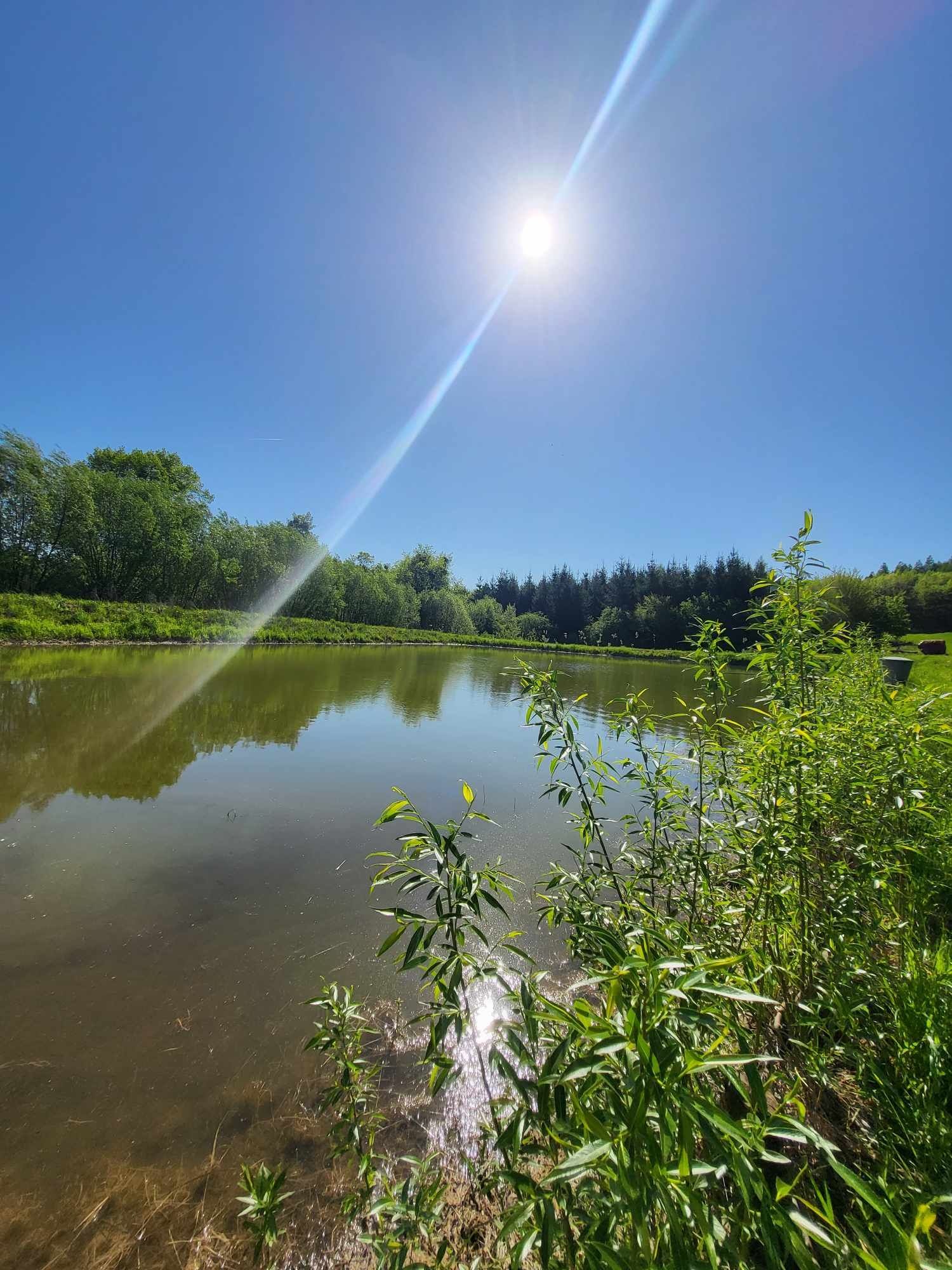 Agroturystyka,Cicha Dolina,Basen,Sauna,Mazury