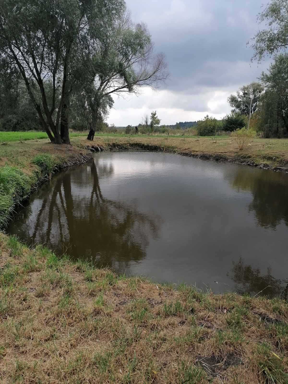 Продається будинок з власною водоймою