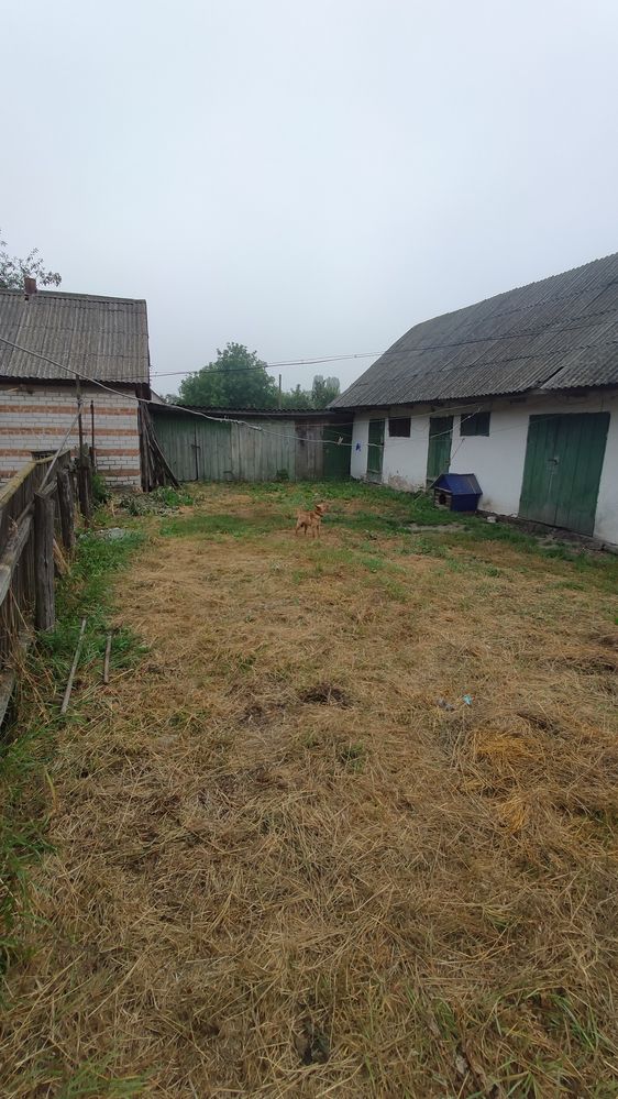 Продам газифікований будинок , 100 кв