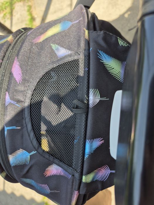 Візок прогулянковий Pote Future, коляска