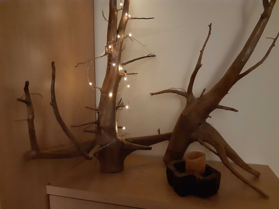 naturalne korzenie -dekoracja/do projektów DIY, cena za 1 szt. (mam 2)