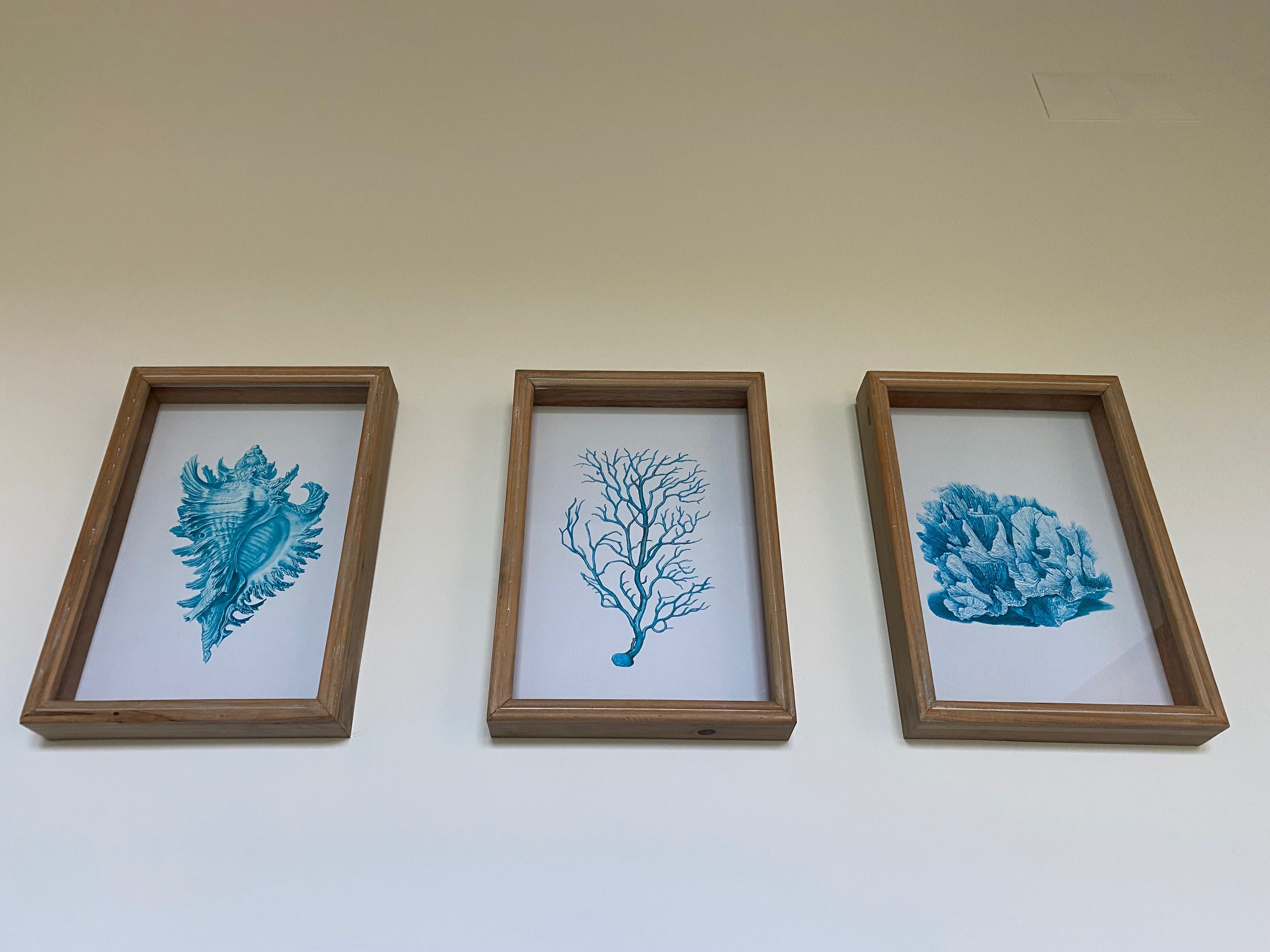 Quadros moldura em madeira     ( preço 3 quadros )