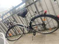 Rower Damka niemiecki