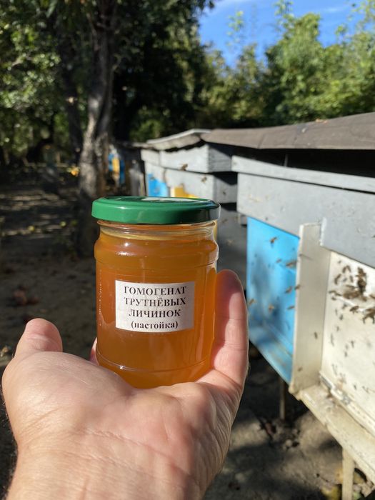 Трутневий гомогенат рідкий ( трутні, личинки) 250 мл