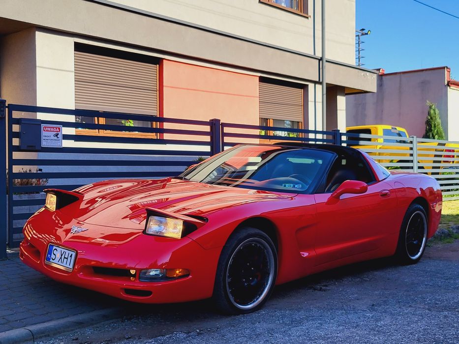 5.7V8 Alumy Targa Skóra Wydech Maglatec