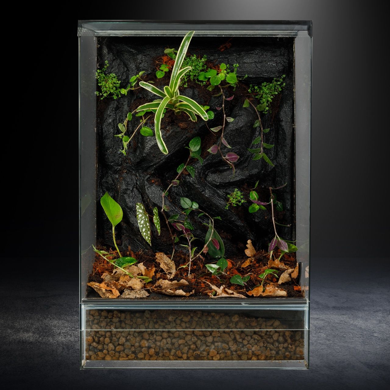 Terrarium 40x40x60 gekon jaszczurka tropikalne