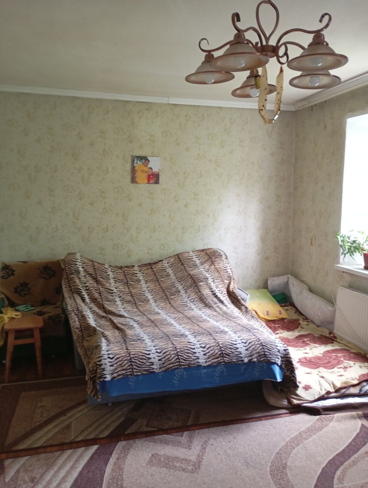 Будинок з великою територією і ставком в долині