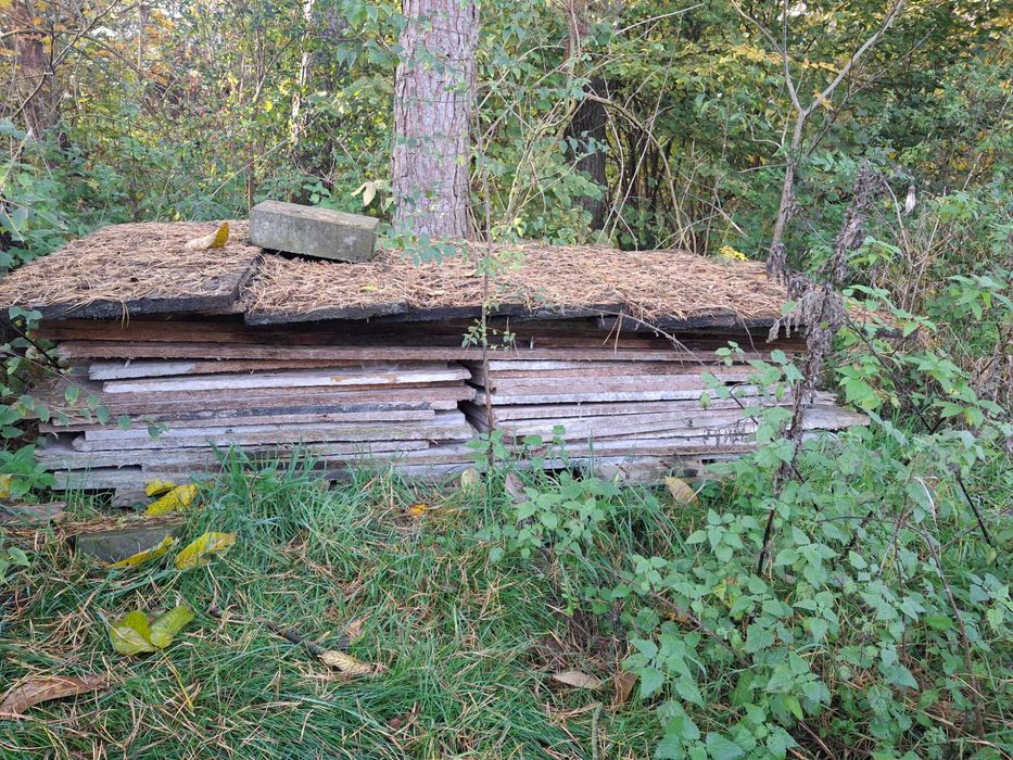 Płyty OSB, szalunkowe