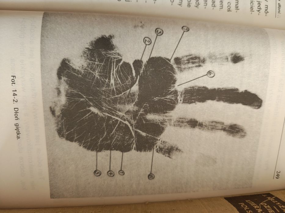 Chiromancja. Analiza dłoni