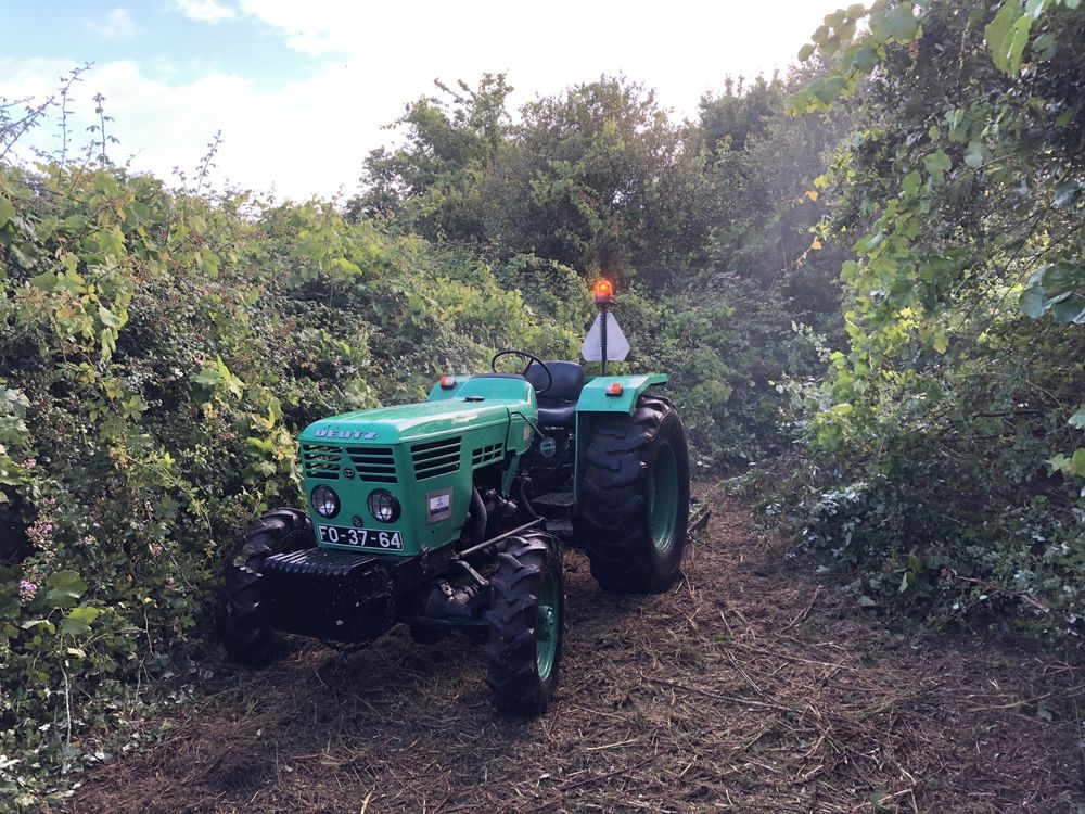 Limpeza de terrenos e venda de lenha