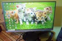 Monitor HP 24 cale, led, full hd, HDMI, D-SUB, DispalayPort + przewody