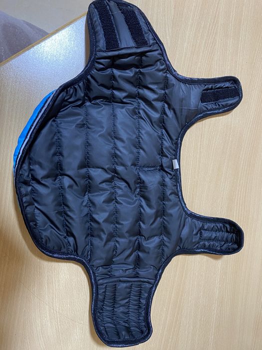 Одяг для собак