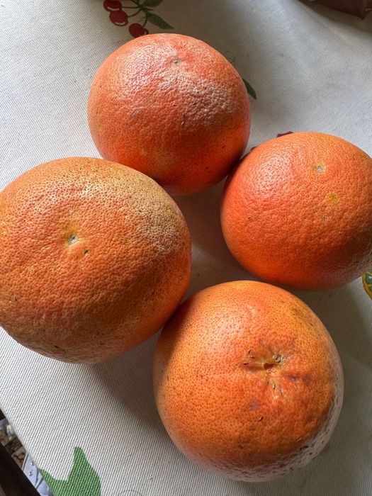 Toranjas caseiras