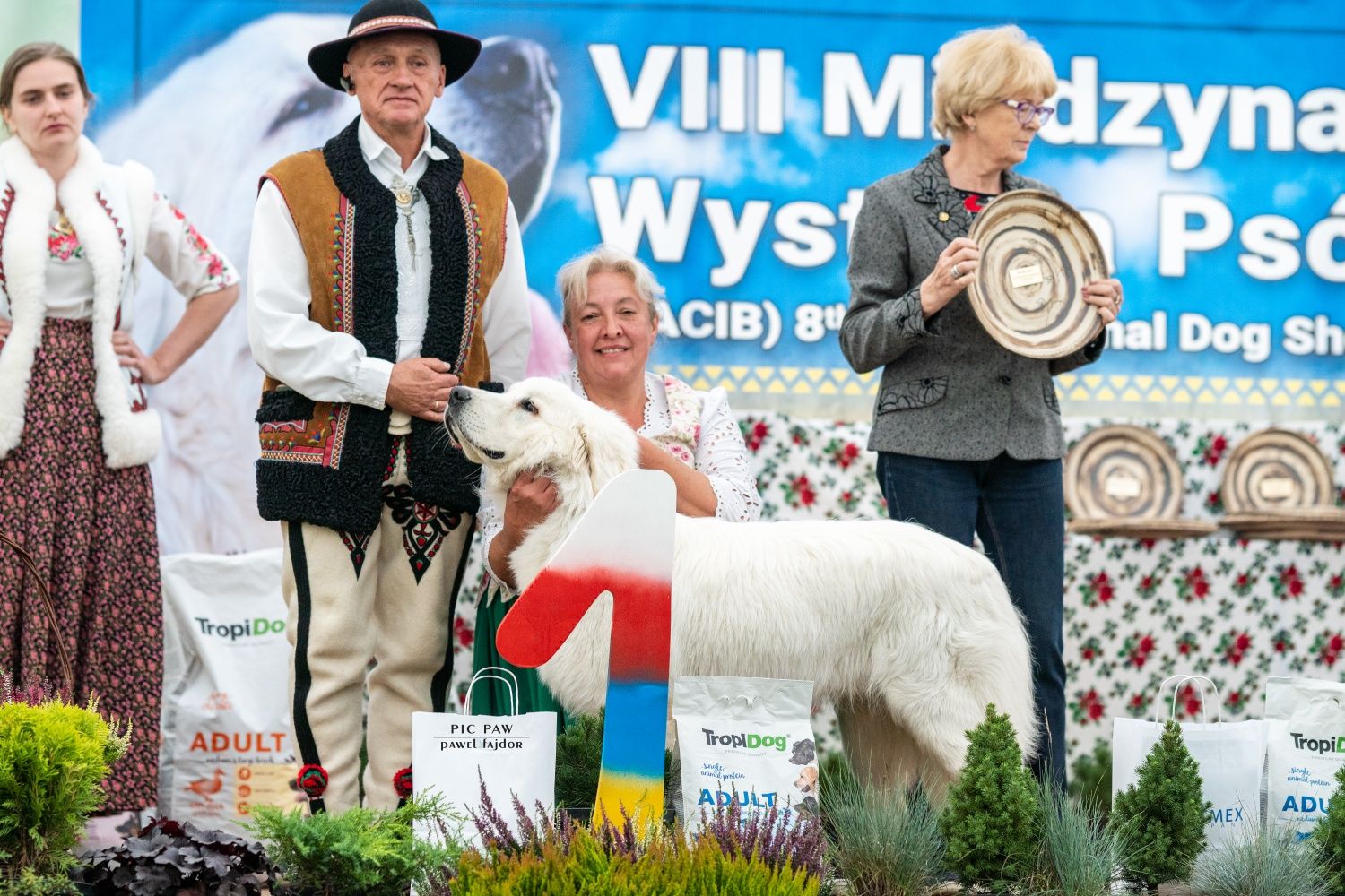 Suczka  Polski Owczarek Podhalański