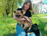 Допомога з тваринами, дітьми і по дому