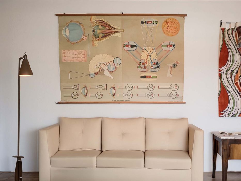 Poster / cartaz científico de parede vintage