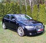 Audi A3 AUDI A3 8P 1.9TDI !!!OKAZJA!!!