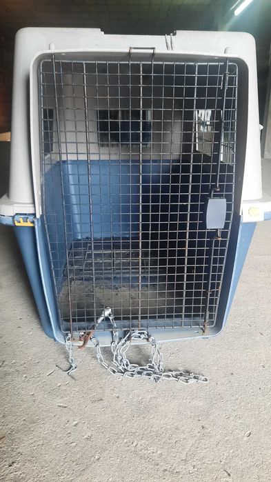 Caixa Transportadora Oficial IATA, para animais  | Ótimo Estado
