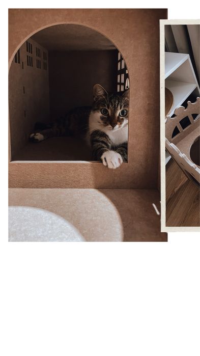 Drapak Legowisko Domek Osłona kuwety nowy