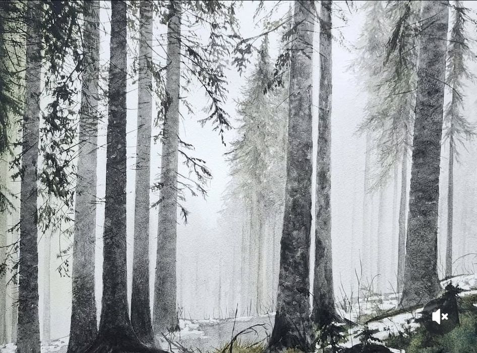 Las świerkowy 60x45cm przedwiośnie zima obraz akwarela