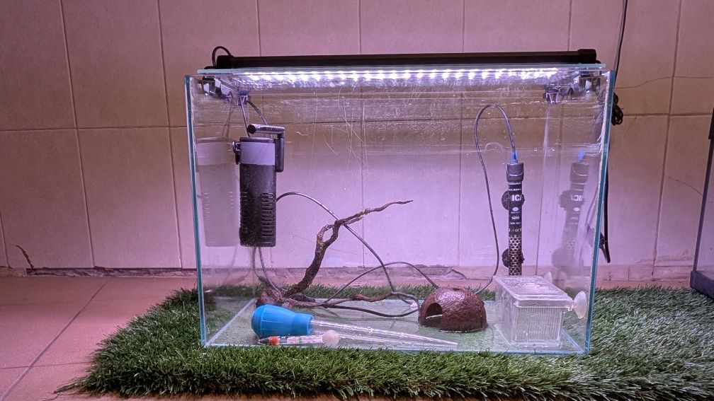 Aquário extra claro + luz led Rgb