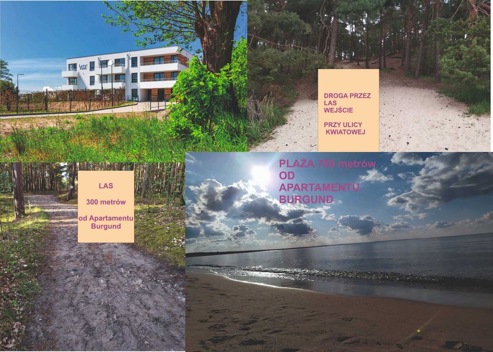 Burgund Apartament nad morzem, Gdańsk, Sobieszewo, Wyspa Sobieszewska
