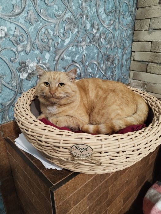 Лежанка для котів та собак, ручної роботи