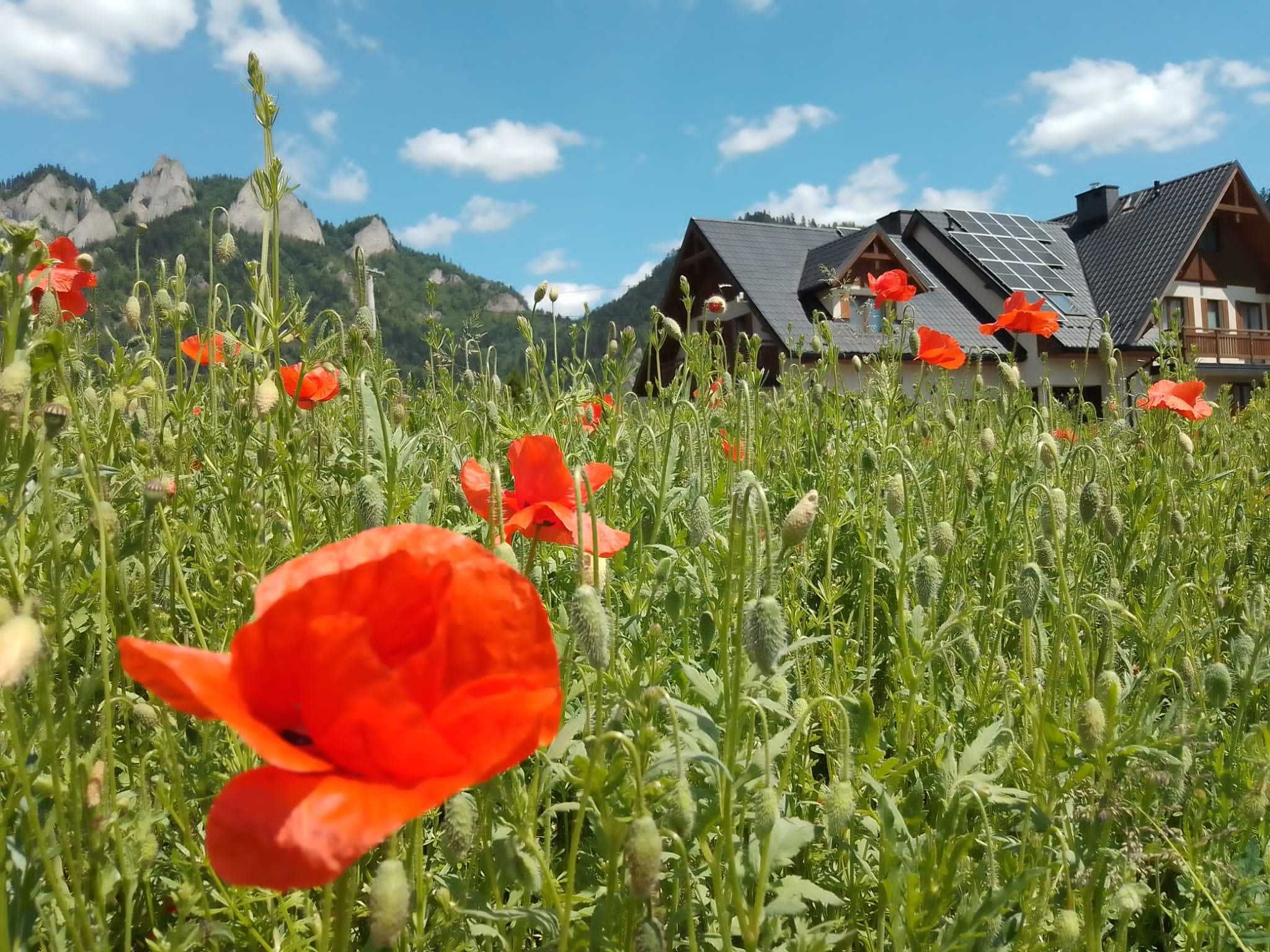 Noclegi Pieniny Sromowce Niżne Trzy Korony