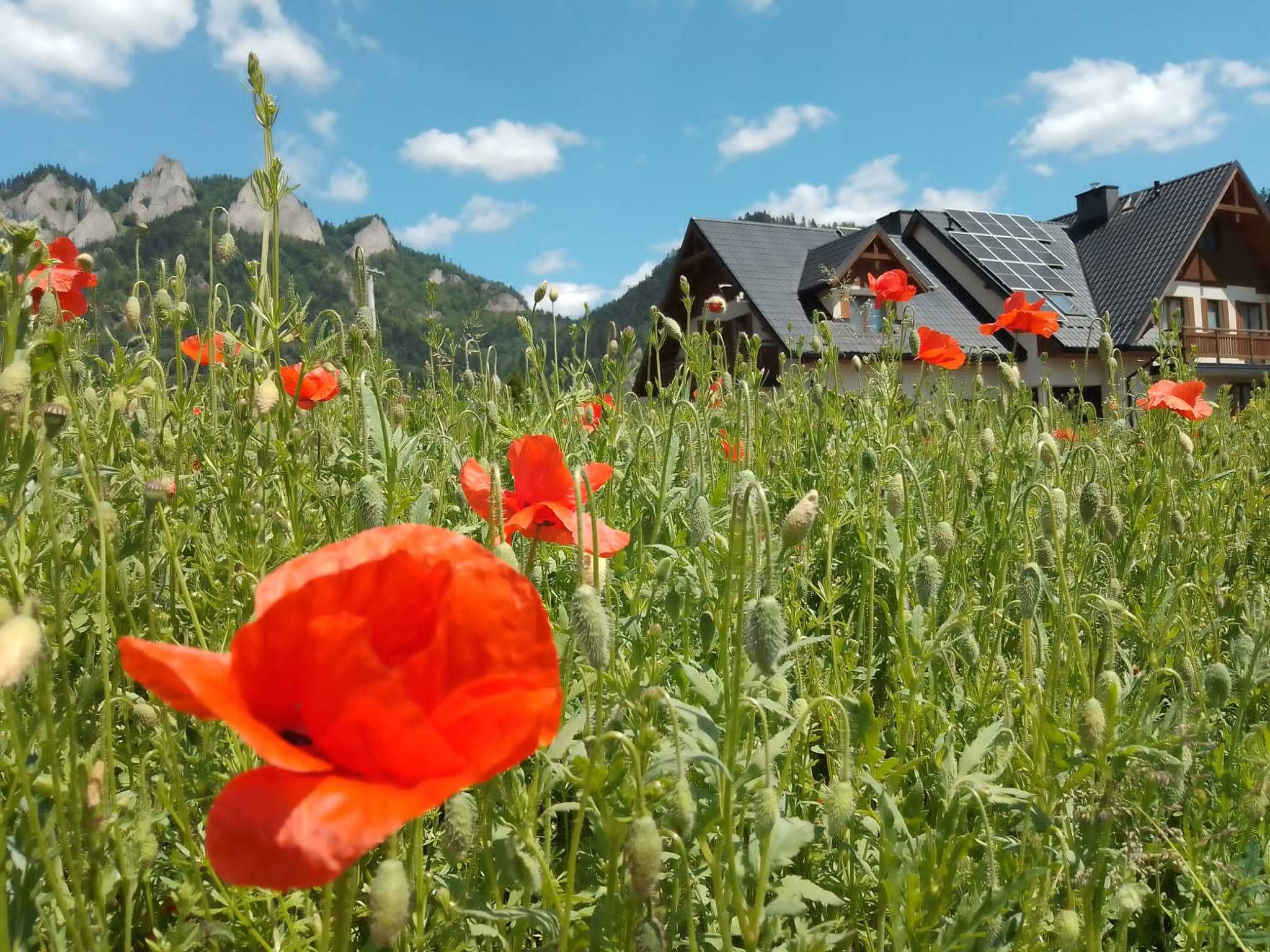 Noclegi Pieniny Sromowce Niżne Trzy Korony góry pokoje apartament Duna