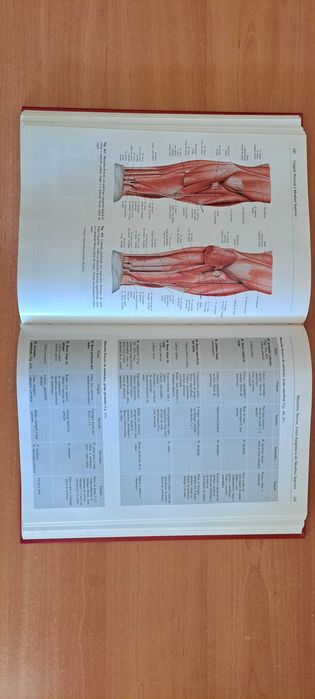 Sobotta: Atlas de Anatomia Humana