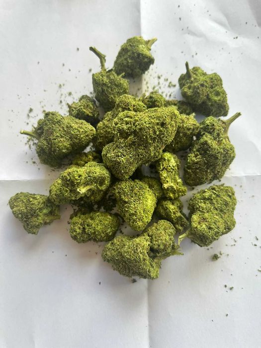 Susz Konopny CBD Cannatonic GH 1kg