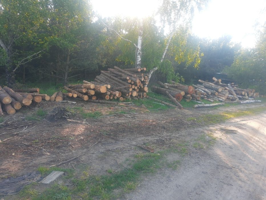 Drewno kominkowe i opałowe Buk dąb brzoza z Transportem