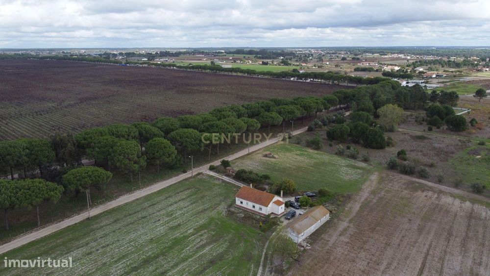 Casa com armazém e terreno de 2 ha