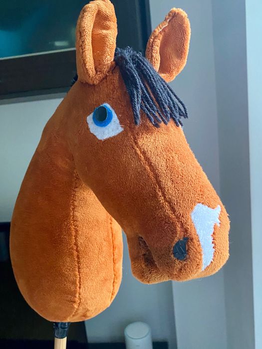 Hobby horse na kiju