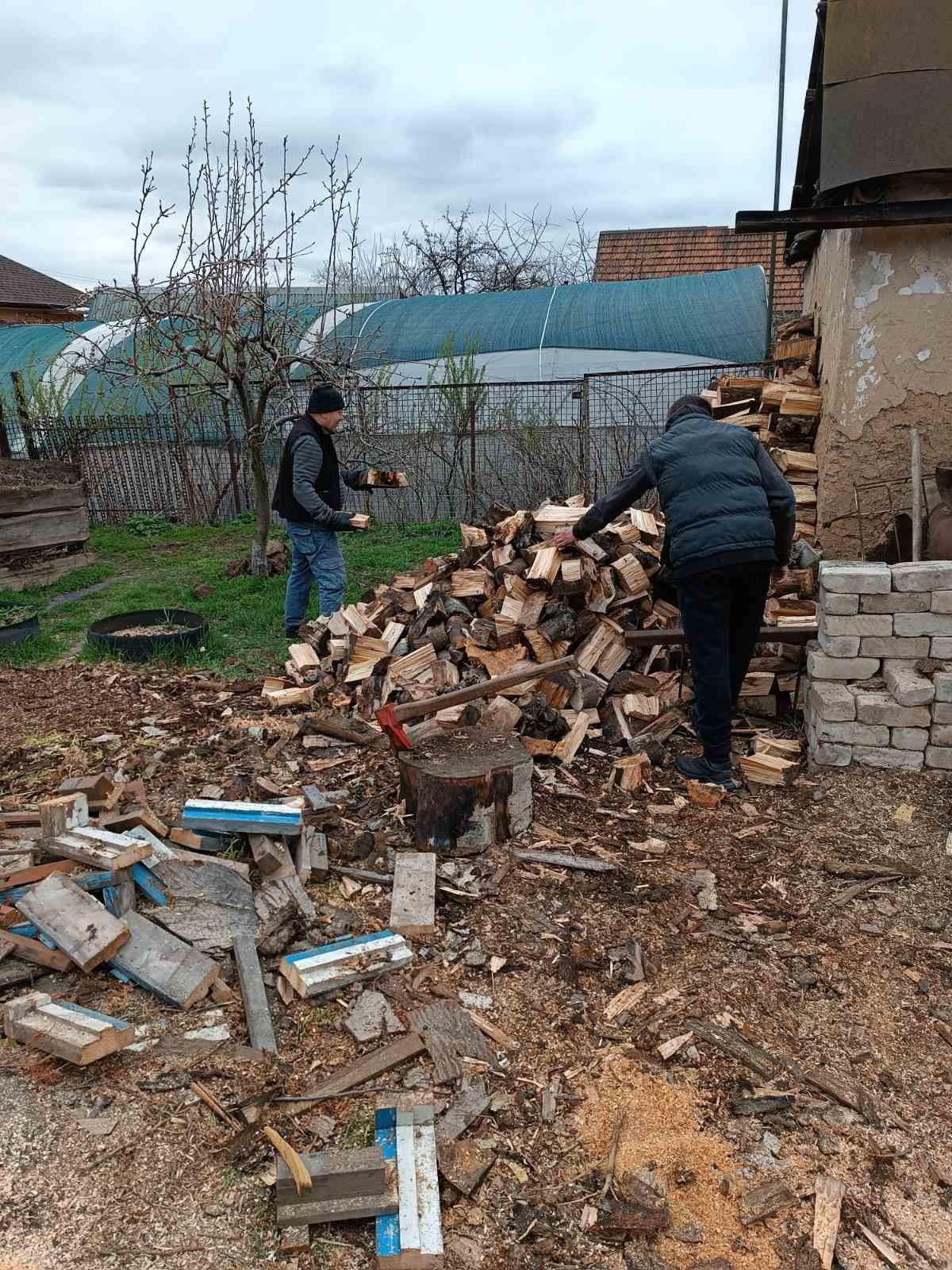 Покос травы, уборка участка под ключ, спил деревьев, кронирование.