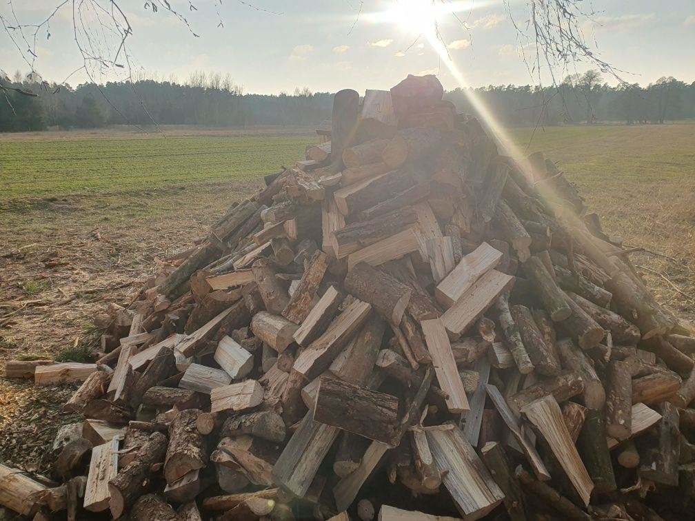 Drewno opałowe sosnowe