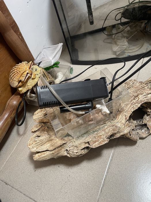 Aquario + acessorios