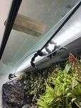 System zraszania do terrarium