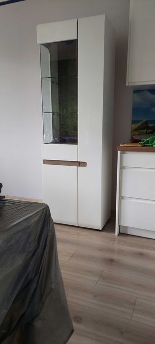 Witryna, gablota, biblioteczka, szafka 42x64x194,5cm