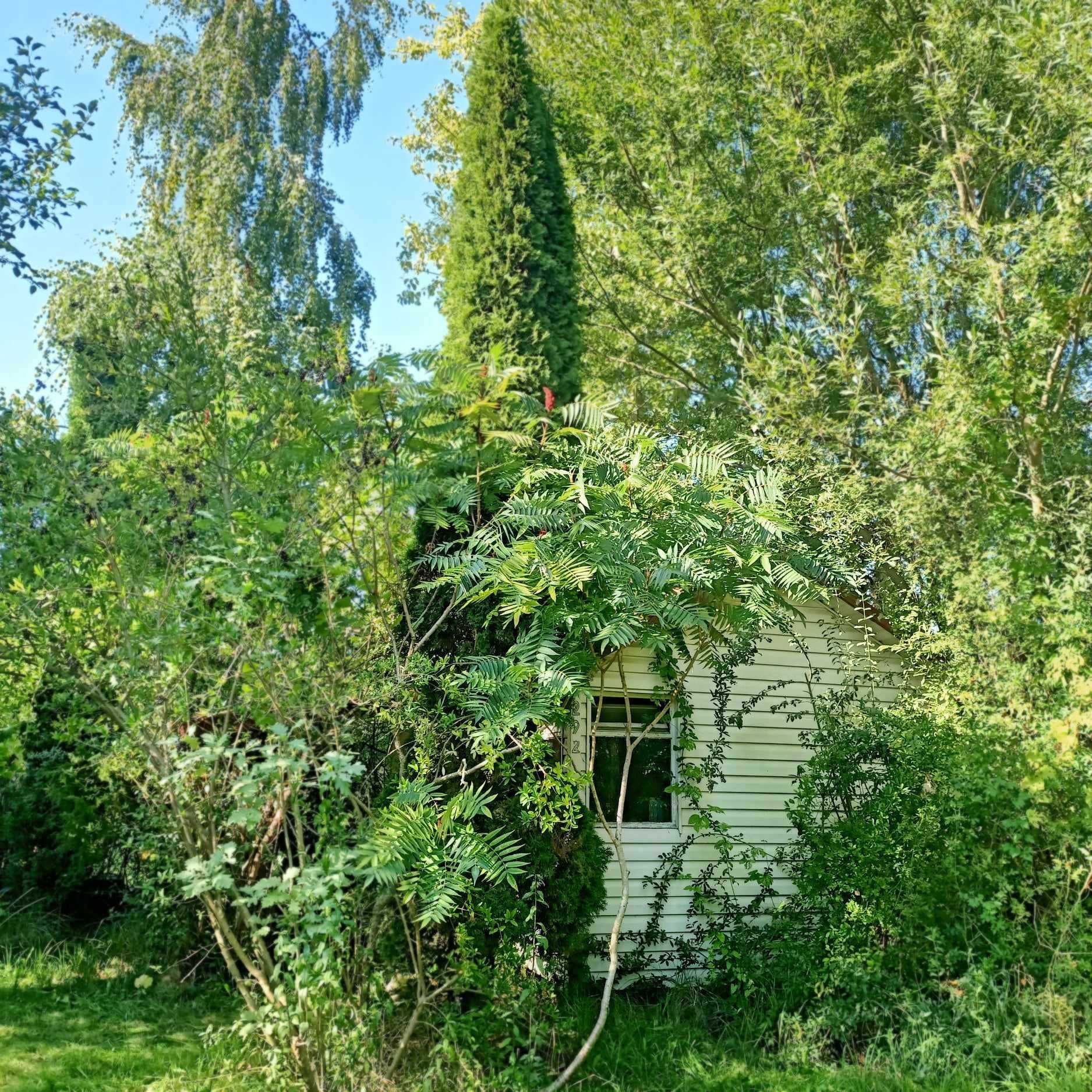 Działka ROD UROCZYSKO Wołomin
